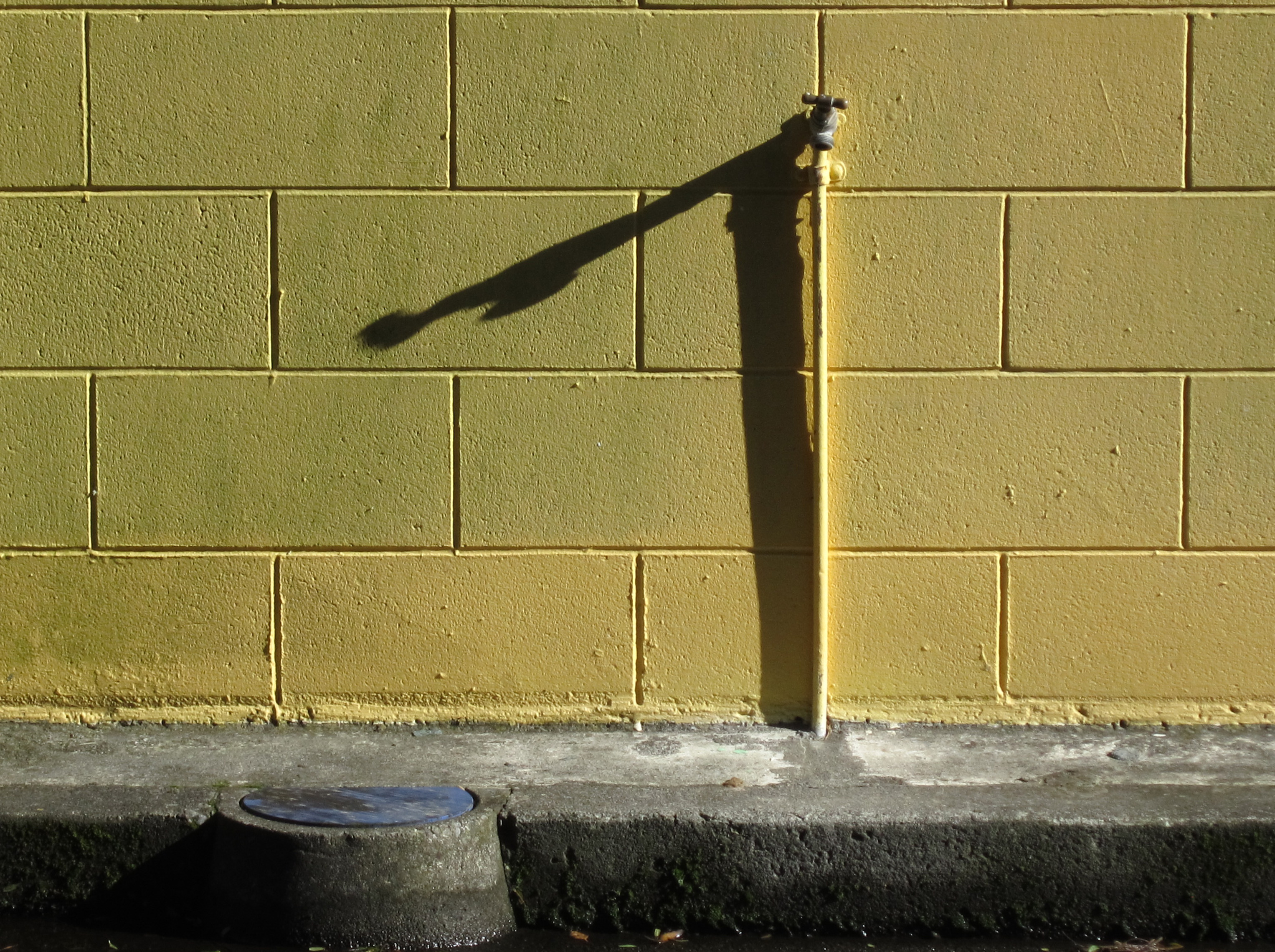 Yellow Brick Wall